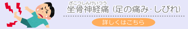 坐骨神経痛（足の痛み・しびれ）でお悩みの方へ　詳しくはこちら