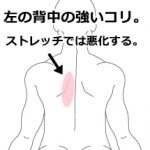 背中の痛み 肋間神経痛の症例を追加しました 鹿沼市の鍼 はり ますぶちマッサージ はり きゅう治療院 背中の痛み 肋間神経痛の症例を追加しました 鹿沼市の鍼 はり ますぶちマッサージ はり きゅう治療院