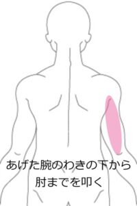 三頭筋打ち3