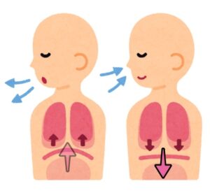呼吸と横隔膜の話2
